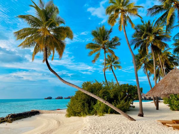 Location de vacances aux Sables d'Olonne : soyez tranquille pendant votre séjour